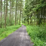 Nyaraló Cozy Near Houffalize Halonreux