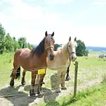 Cozy Near Houffalize Nyaraló