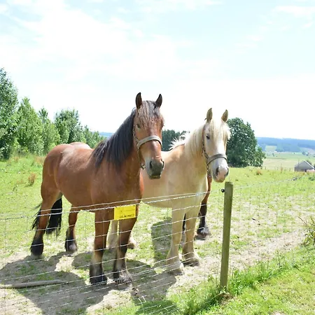 Cozy Near Houffalize 펜션